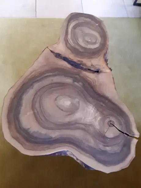 Baumscheiben-Couchtisch  