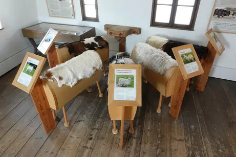 Die unterschiedlichen Ziegenrassen anschau- und -fasslich dargestellt Die unterschiedlichen Ziegenrassen anschau- und -fasslich dargestellt