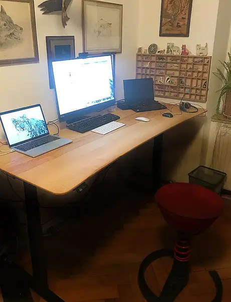 Massivholzschreibtisch höhenverstellbar mit elegantem Schwung und unterzogener Kante Massivholzschreibtisch höhenverstellbar mit elegantem Schwung und unterzogener Kante