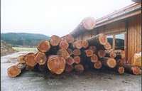 Herstellung von Massivholzmöbeln: Die Möbelmacher