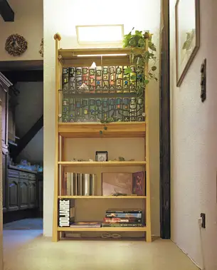 Hundertwasser Bücherregal in Elsbeere 