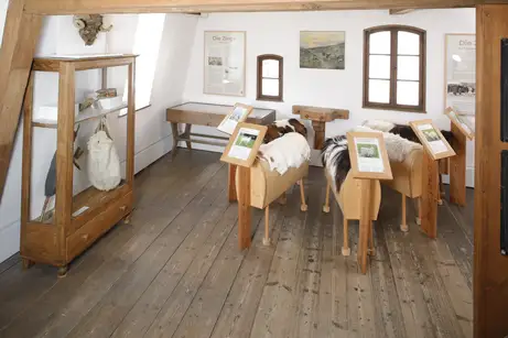 Ziegen zeigen im Deutschen Hirtenmuseum Ziegen zeigen im Deutschen Hirtenmuseum