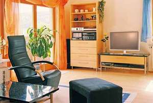 Wohnzimmer aus Massivholz von 2003-5: Die Möbelmacher