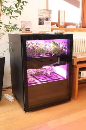 Plantcube von Agrilution (by Miele)