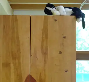 Gelaserte Katzenpfoten auf Birnenholz