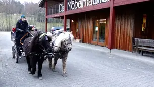http://nhblog.de/ponyIGLink/