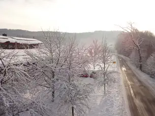 Sarg oder Küche, oder zusammenpassend? Sarg oder Küche, oder zusammenpassend?