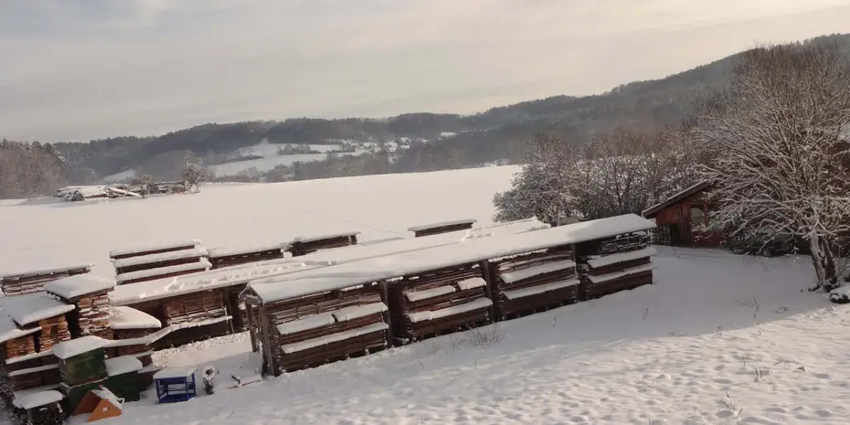 Massivholzlager ausschließlich mit Harthölzern 
