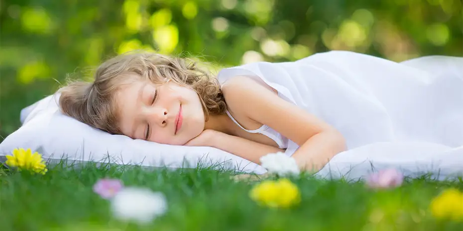 Kissen, Zudecken, Topper und und das ganze Bettzubehör von ProNatura Kissen, Zudecken, Topper und und das ganze Bettzubehör von ProNatura