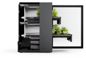 Agrilution Plantcube aufgeschnitten