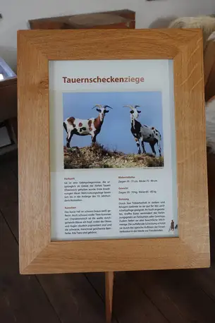 Die Tauernscheckenziege Die Tauernscheckenziege