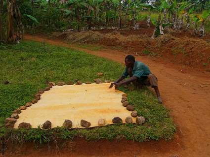 Rindentuch aus Uganda