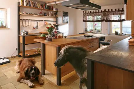 Eichenküche mit zwei Hunden und Pferd Eichenküche mit zwei Hunden und Pferd