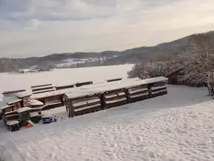 Holzlager bevorraten wir Harthölzer wie Eiche, Buche, Esche, Kirschbaum, Ahorn, Kirschbaum Holzlager bevorraten wir Harthölzer wie Eiche, Buche, Esche, Kirschbaum, Ahorn, Kirschbaum