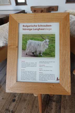 Felle der Ziegenrassen im Deutschen Hirtenmuseum 