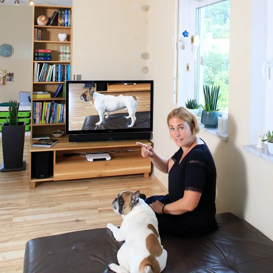 Eichen-TV Board mit französischer Bulldogge Eichen-TV Board mit französischer Bulldogge