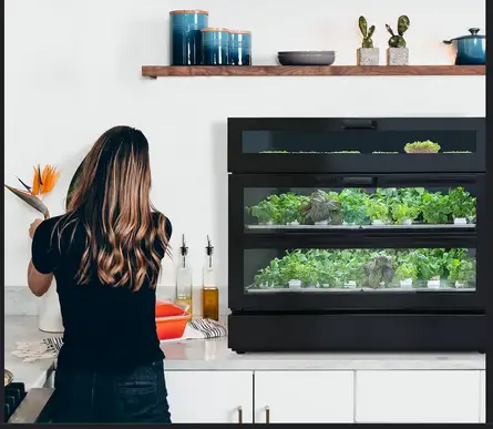 Ourgreeenary Raumgarten bei den Möbelmachern 