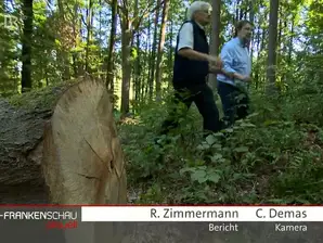 Nachhaltige Forstwirtschaft mit dem Bund Naturschutz 