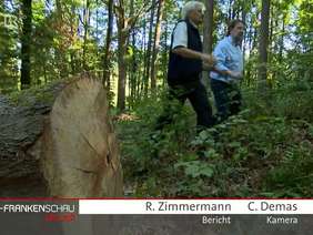 Nachhaltige Forstwirtschaft mit dem Bund Naturschutz 